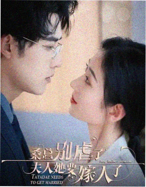海边的旧书店热播电视剧免费追