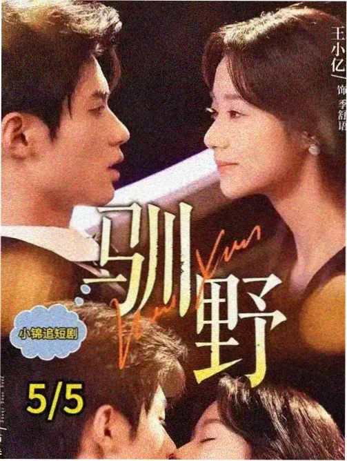 二十六度风热播电视剧免费追